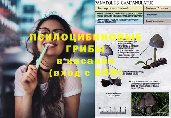 2c-b Карталы