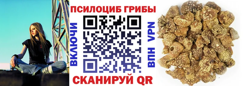 Псилоцибиновые грибы прущие грибы  Купить закладки  Дальнереченск 